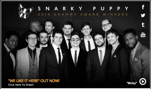 snarkypuppy